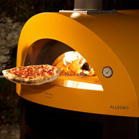 Wood Burning Pizza Ovens