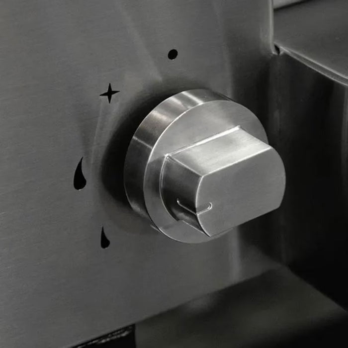 Alfa Classico 2 Pizze Wood-Fired Outdoor Pizza Oven FXCL-2P-MGRA-U – Magma Grey