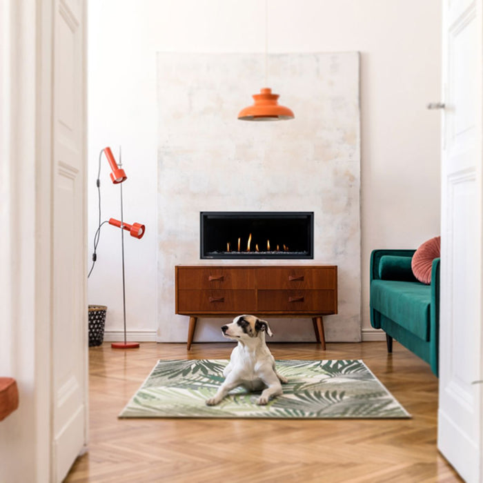 Montigo DelRay 36" Direct-Vent Linear Gas Fireplace DRL3613NI IPI Basic Model