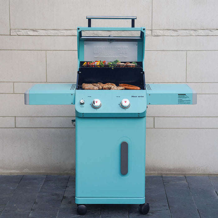 Monument Grills Mesa 200 Matte Color Foldable 2-Burner Propane Gas Grill - Model M200G